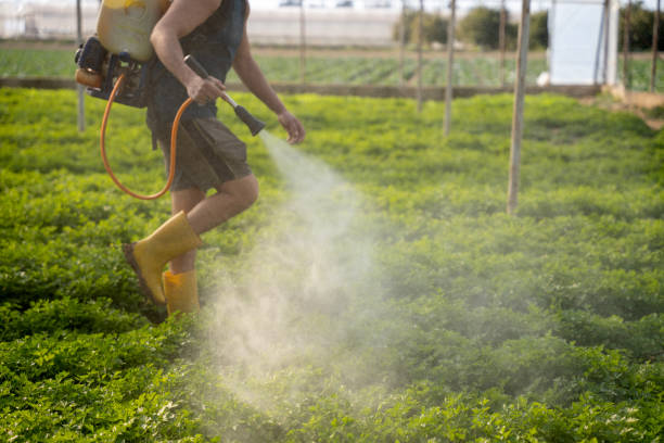  Newport Beach, CA Pest Control Pros