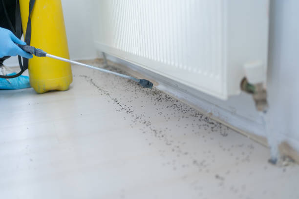 Wildlife Control Services in Newport Beach, CA