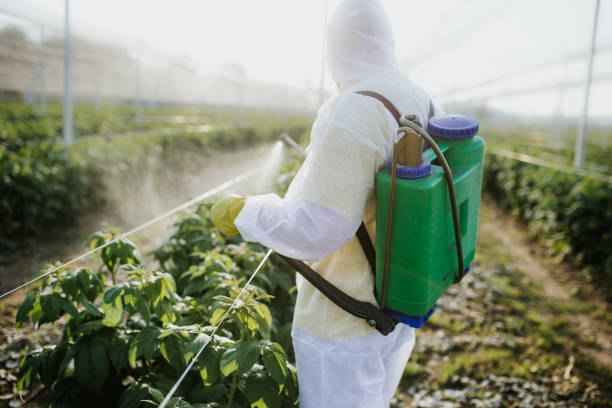 Best Insect Control  in Newport Beach, CA